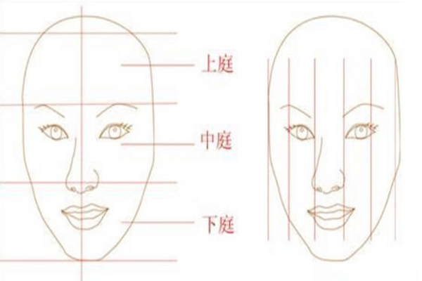 面相三庭五眼是什么意思