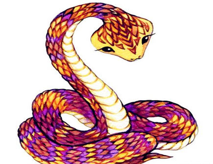 属蛇女2021年财运如何