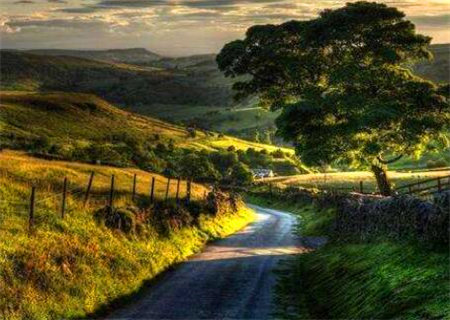 官伤死灾断命口诀 官伤死灾断命口诀