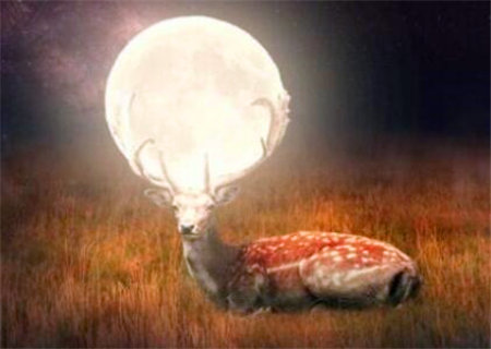 官伤死灾断命口诀 官伤死灾断命口诀