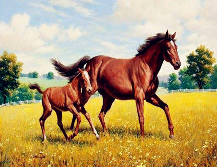 属马男2021年财运如何