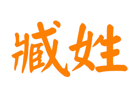 臧姓男孩起名大全