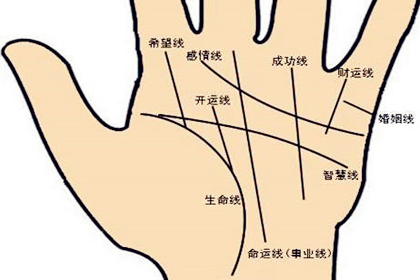 手相看运势走向