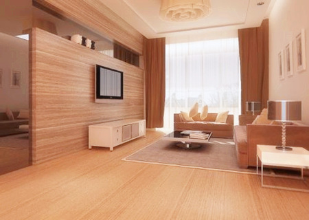 影响女主人运势的家居风水