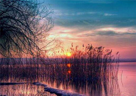 八字无食伤的特点 八字无食伤的特点