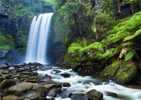 八字无食伤的特点 八字无食伤的特点