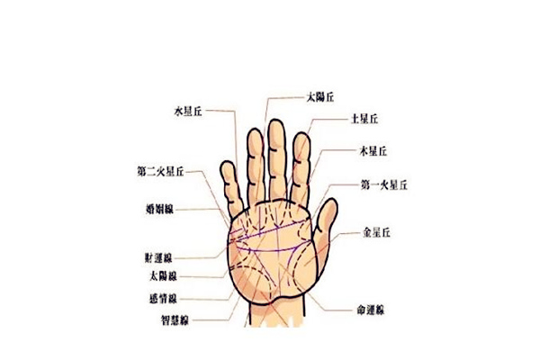 男生手相大全