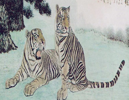 一月出生属虎人的运势hu1_副本.jpg 一月出生属虎人的运势