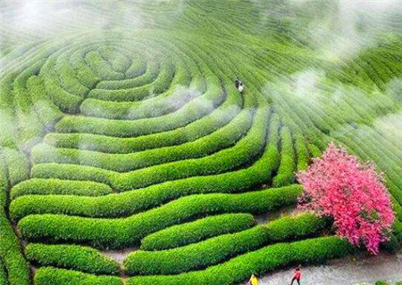 有福气的八字特征 有福气的八字特征