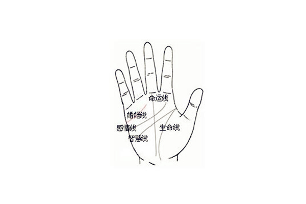 命运线是哪条线