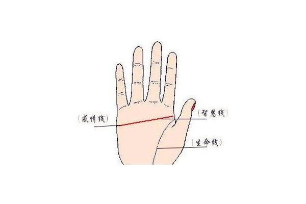 容易二婚的女人手相特征