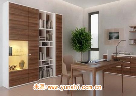 书房摆放什么植物风水好 书房摆放什么植物风水好