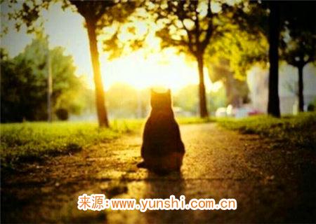 天生孤僻之人的八字特征 天生孤僻之人的八字特征