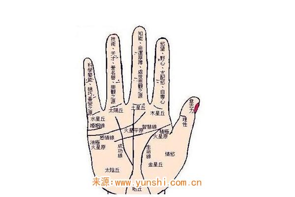 手相看人生运势好坏