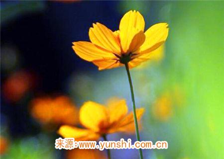 偏财歌诀 偏财歌诀