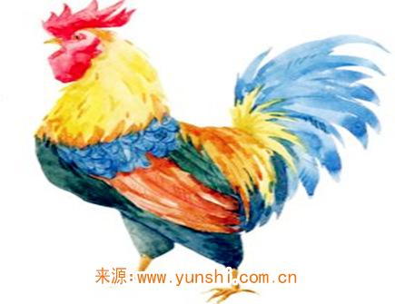 五月出生属鸡人的运势