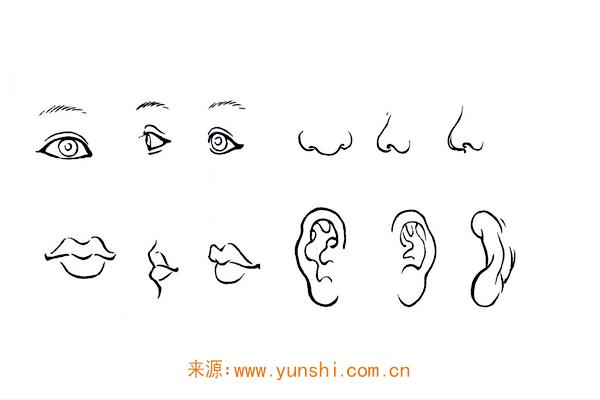 五官特征论命运好坏