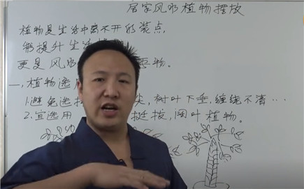 居家风水植物的摆放与禁忌