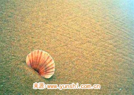 聪明绝顶的八字特征 聪明绝顶的八字特征