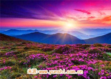 心机城府深的八字特征 心机城府深的八字特征