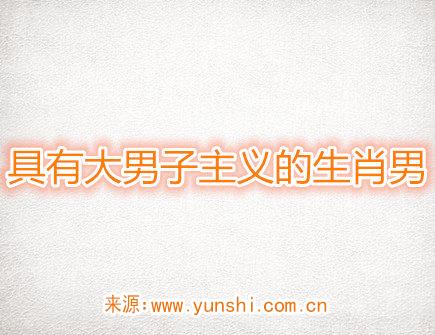 具有大男子主义的生肖男