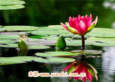 金水伤官喜见官是何意 金水伤官喜见官是何意