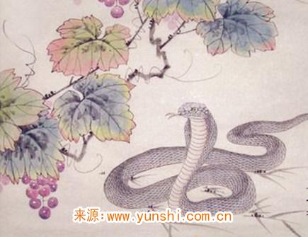 属蛇的人如何面对感情