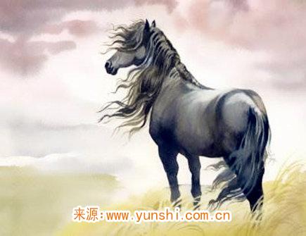 属马在恋爱中注重什么细节