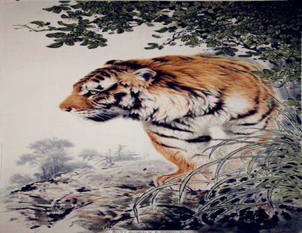 属虎的人未来十年运势 属虎的人未来十年运势