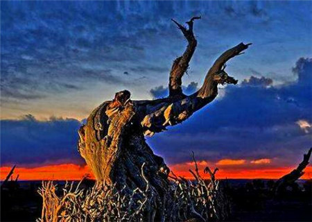 盲派十二宫断运口诀 盲派十二宫断运口诀