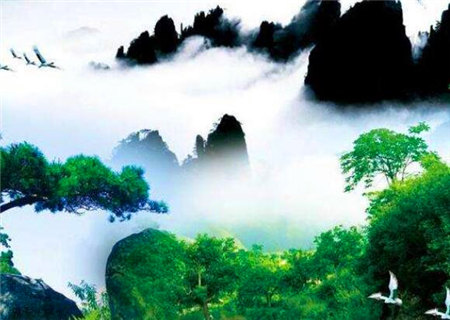 财旺生官的女命八字特点 财旺生官的女命八字特点