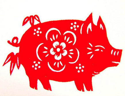 属猪的人未来十年运势