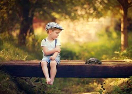 五行缺木该如何补救 五行缺木该如何补救