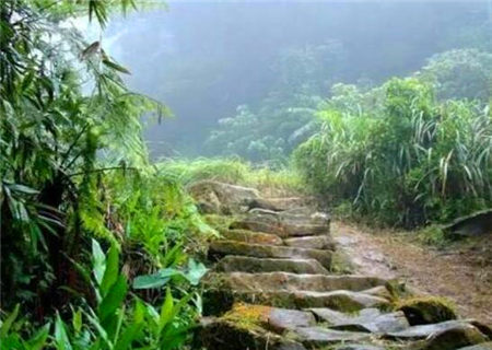 五行缺木该如何补救 五行缺木该如何补救