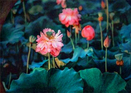 八字暗合的特点 八字暗合的特点