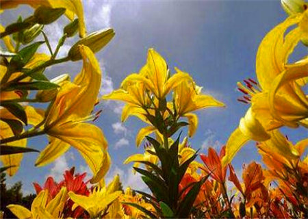 八字十神中的吉凶顺逆 八字十神中的吉凶顺逆