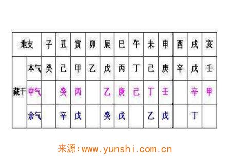 十二地支藏干详解 十二地支藏干详解