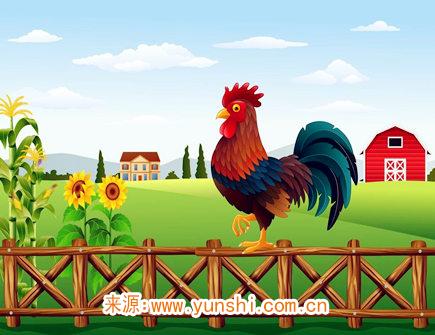 男命生肖鸡2020年真凶诊断