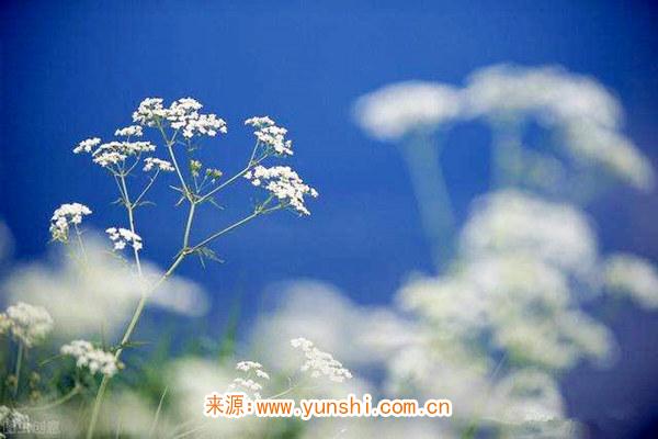 神煞论命 神煞论命