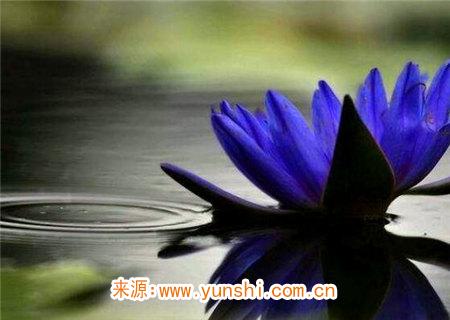 八字夫妻宫断语 八字夫妻宫断语