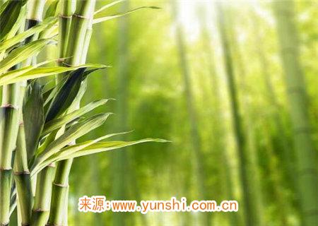 盲派推八字日干的几个口诀 盲派推八字日干的几个口诀