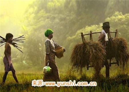 古法八字泄天机