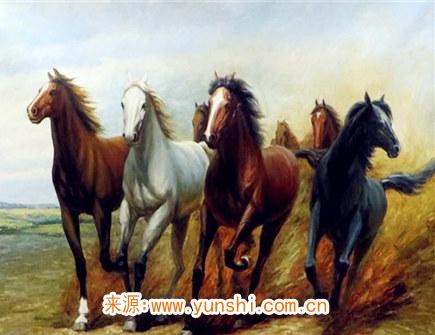 属马的人幸运物有哪些 属马的人幸运物有哪些