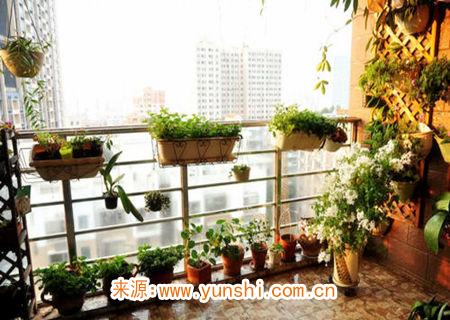 阳台风水怎么布置招财 阳台风水怎么布置招财