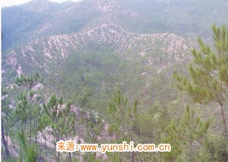 坟地风水断语口诀