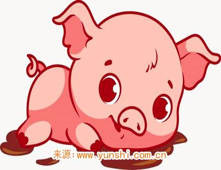 属猪男感情弱点