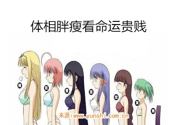 体相胖瘦看命运贵贱