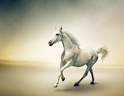 属马人开什么店最赚钱 属马人开什么店最赚钱