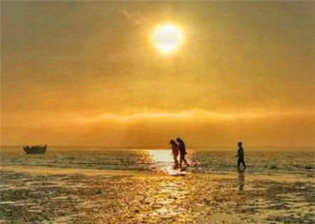 官杀混杂之真混与假混 官杀混杂之真混与假混