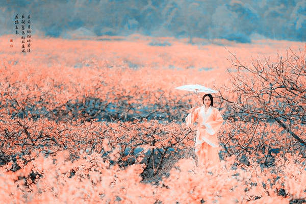 八字犯桃花的特征 八字犯桃花的特征